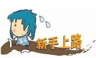 四川牛犇犇教育咨询 从做一个合格的小股民开始